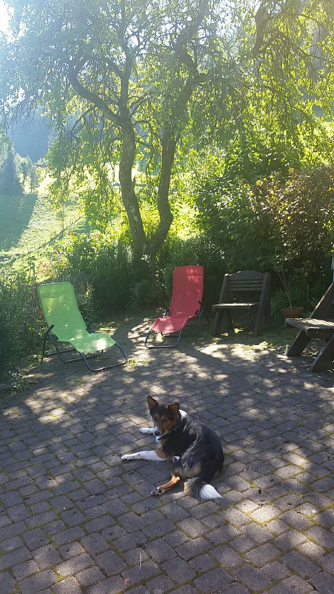 Relaxen im schattigen Garten